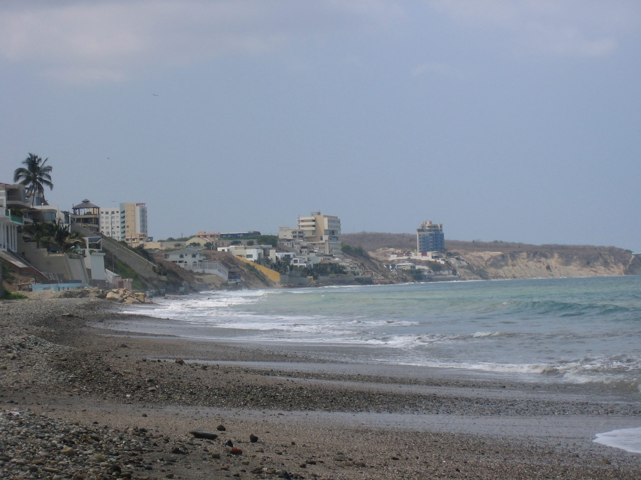 Barbasquillo